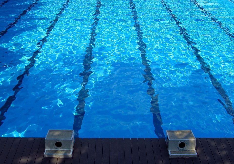 swimming pool | lampertwalsh