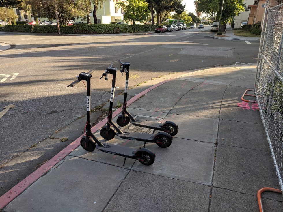 Bird Scooters Sidewalk