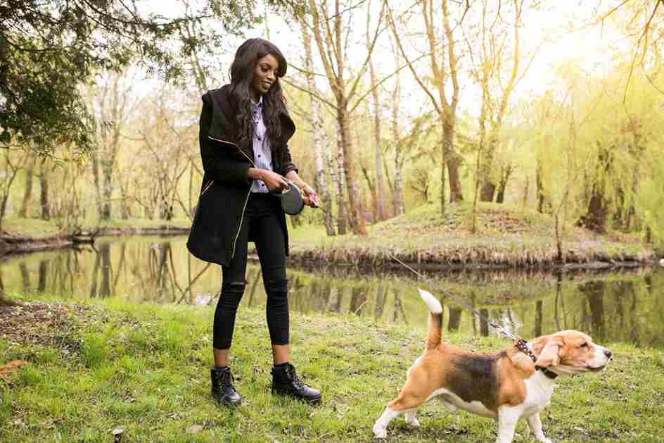 Dog Bites During Spring Walks: Colorado’s Strict Liability vs. One-Bite Rule